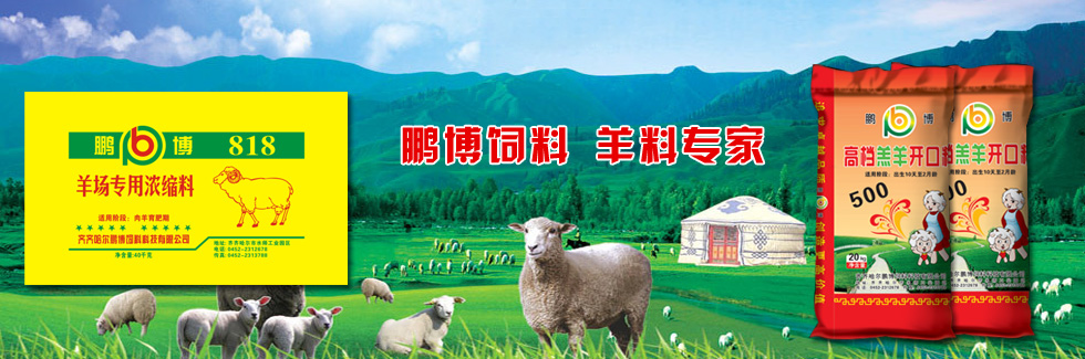 鵬博飼料，羊料專(zhuān)家